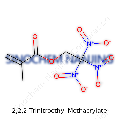 2,2,2-Trinitroethyl Methacrylate