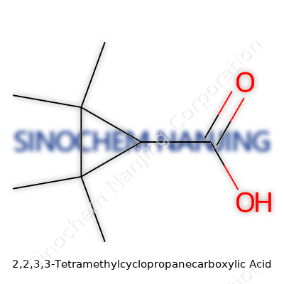 2,2,3,3-Tetramethylcyclopropanecarboxylic Acid