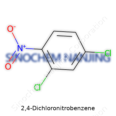 2,4-Dichloronitrobenzene