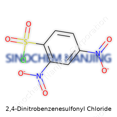 2,4-Dinitrobenzenesulfonyl Chloride