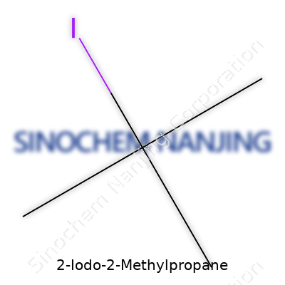 2-Iodo-2-Methylpropane