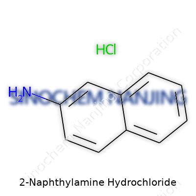 2-Naphthylamine Hydrochloride