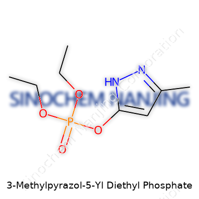 3-Methylpyrazol-5-Yl Diethyl Phosphate