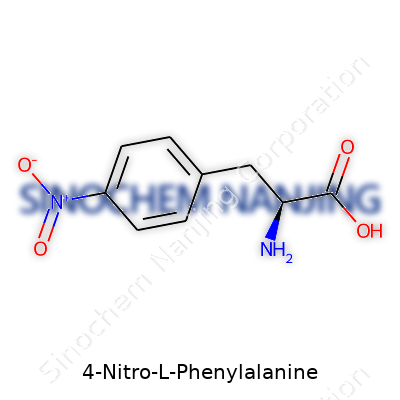 4-Nitro-L-Phenylalanine