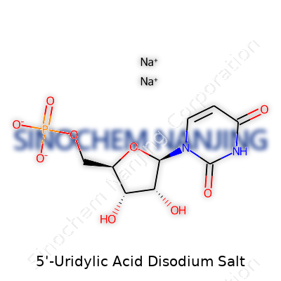 5'-Uridylic Acid Disodium Salt