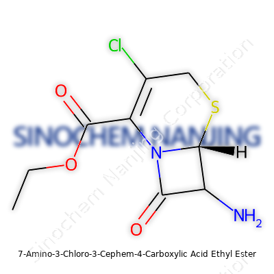 7-Amino-3-Chloro-3-Cephem-4-Carboxylic Acid Ethyl Ester