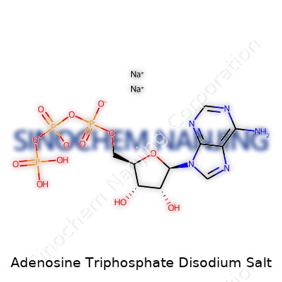 Adenosine Triphosphate Disodium Salt