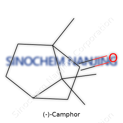 Camphor