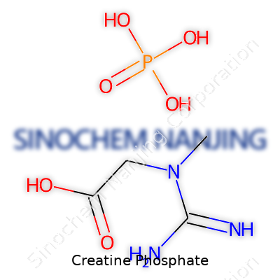 Creatine Phosphate
