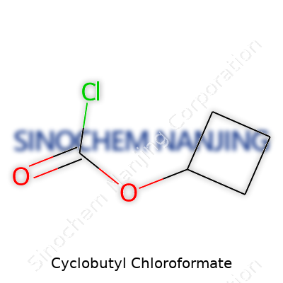 Cyclobutyl Chloroformate