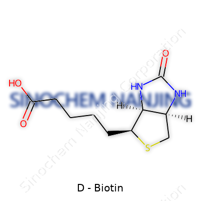 D-Biotin