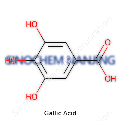 Gallic Acid