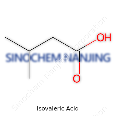 Isovaleric Acid