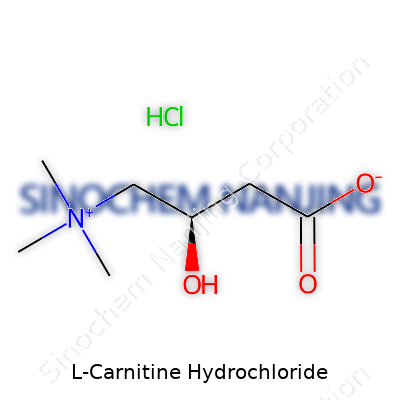 L-Carnitine Hydrochloride