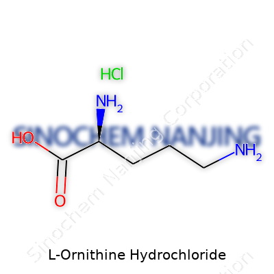L-Ornithine Hydrochloride