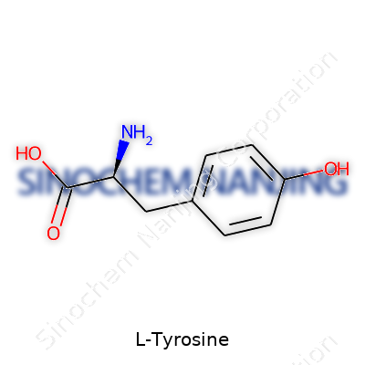 L-Tyrosine