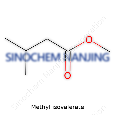 Methyl Isovalerate