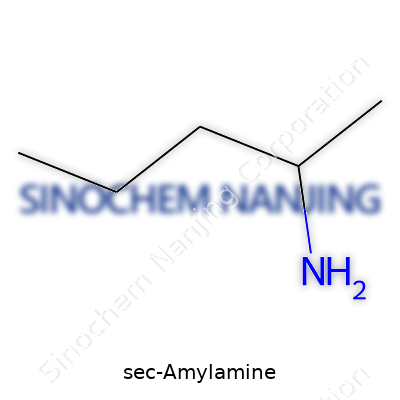 Sec-Amylamine