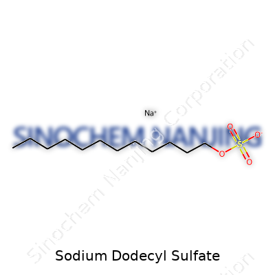 Sodium Dodecyl Sulfate