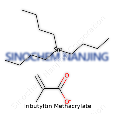 Tributyltin Methacrylate