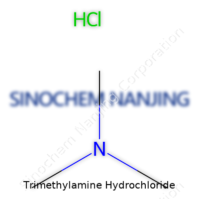 Trimethylamine Hydrochloride