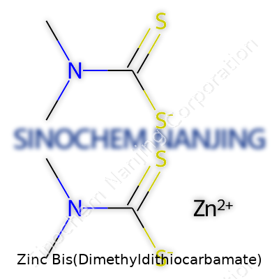 Zinc Bis(Dimethyldithiocarbamate)