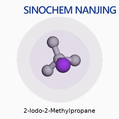 2-Iodo-2-Methylpropane