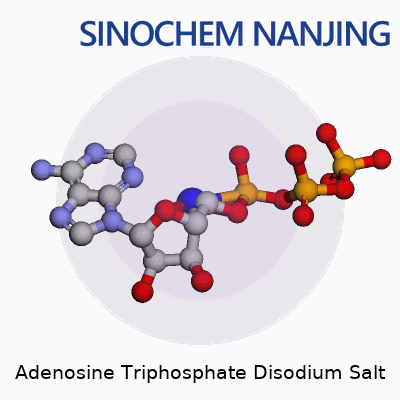 Adenosine Triphosphate Disodium Salt