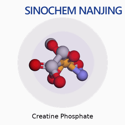 Creatine Phosphate